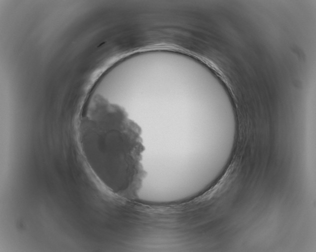 X0000111931422200909071229