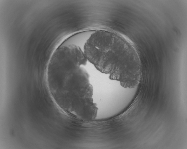 X0000111931423200909071229