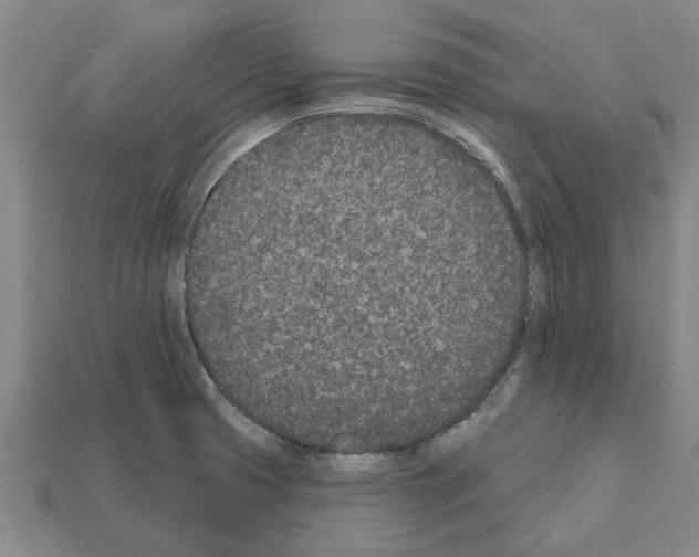 X0000111931425200909071229