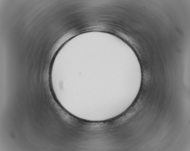 X0000111931426200909071229