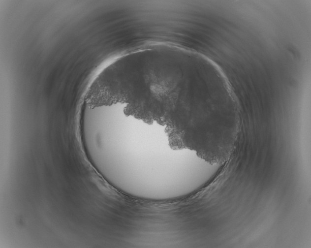 X0000111931427200909071229