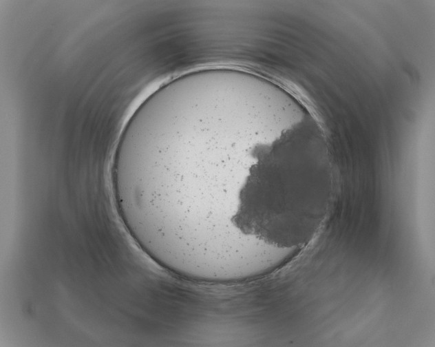 X0000111931428200909071229