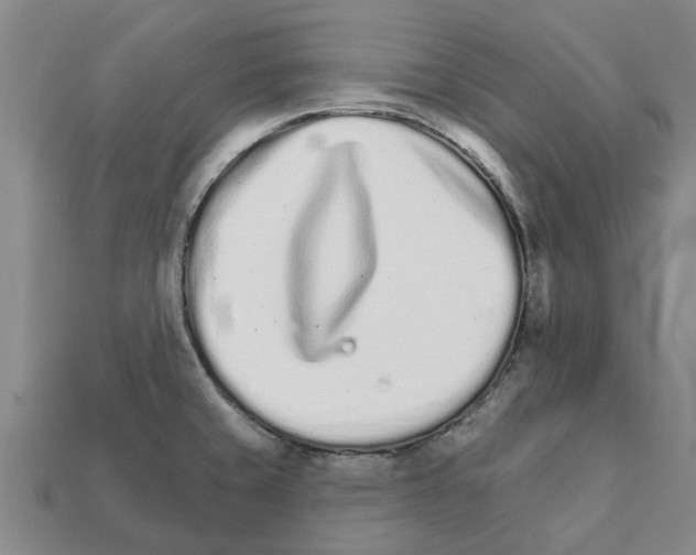 X0000111931429200909071229