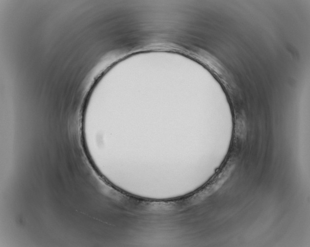 X0000111931430200909071229