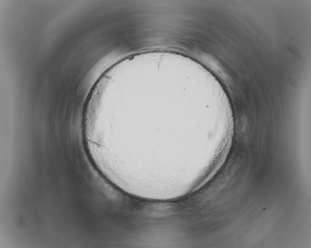 X0000111931431200909071229