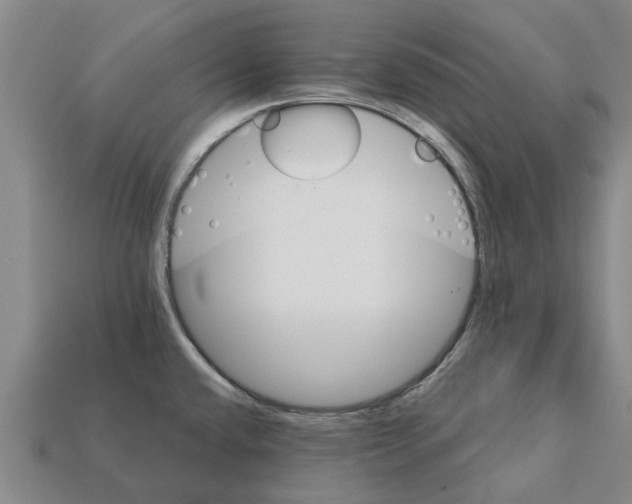 X0000111931432200909071229