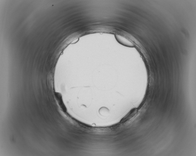 X0000111931433200909071229