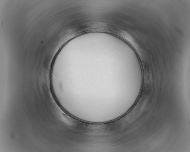 X0000111931434200909071229