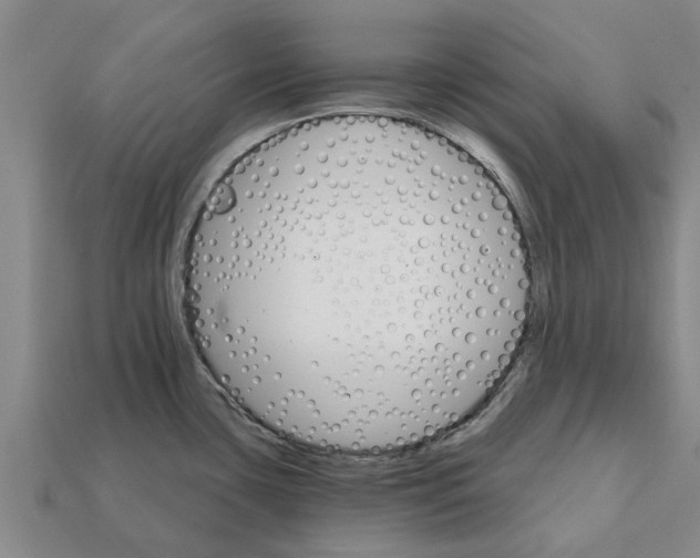 X0000111931435200909071229