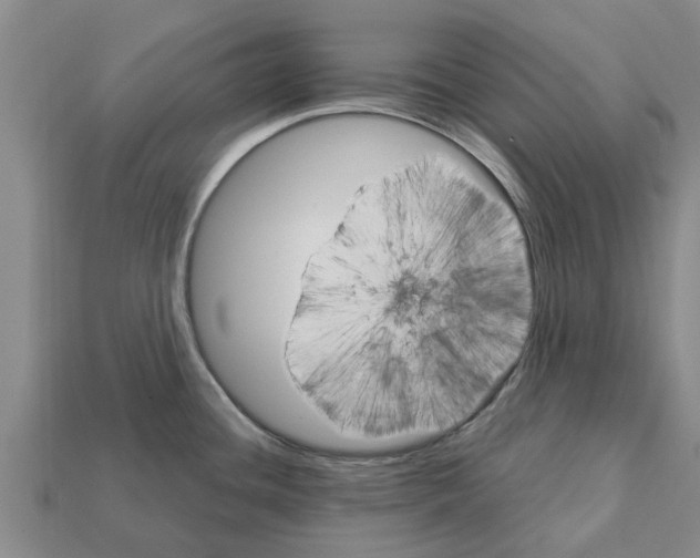 X0000111931436200909071229