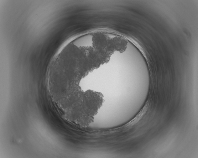 X0000111931438200909071229