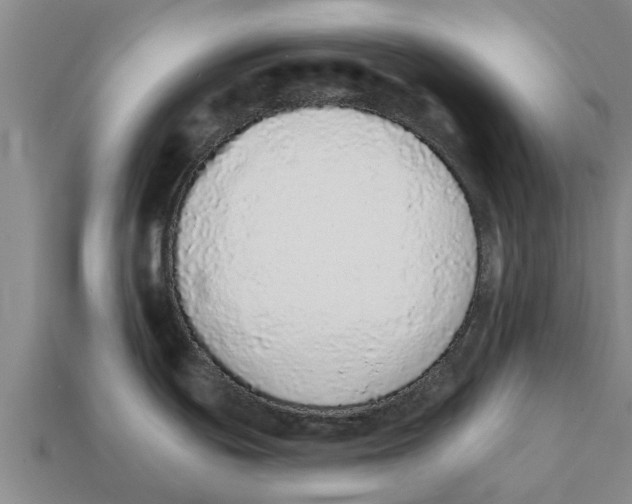 X0000111931439200909071229