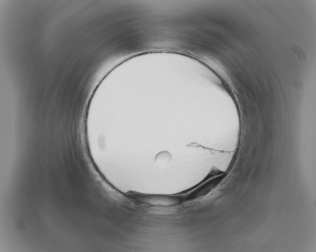 X0000111931440200909071229