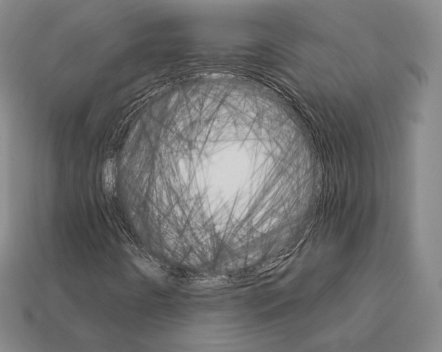 X0000111931442200909071228