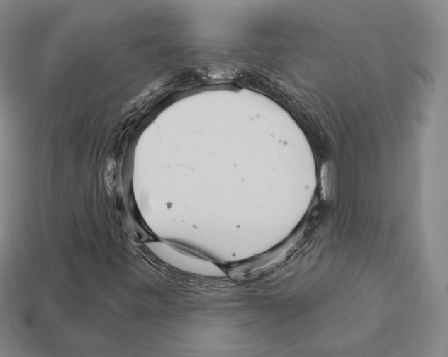 X0000111931443200909071228