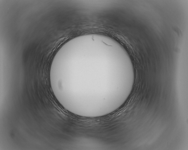 X0000111931444200909071228