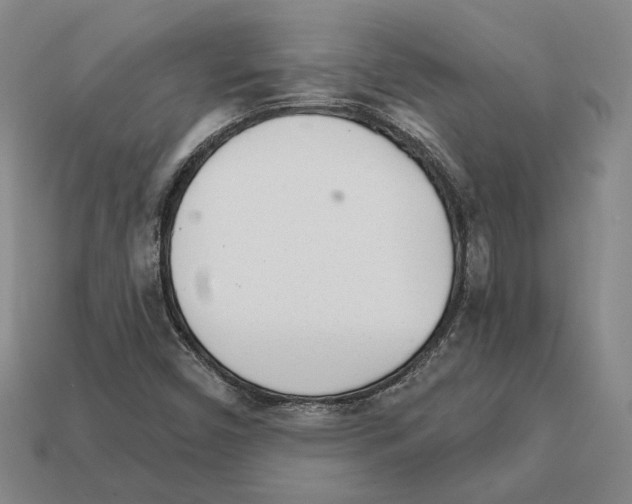 X0000111931450200909071228