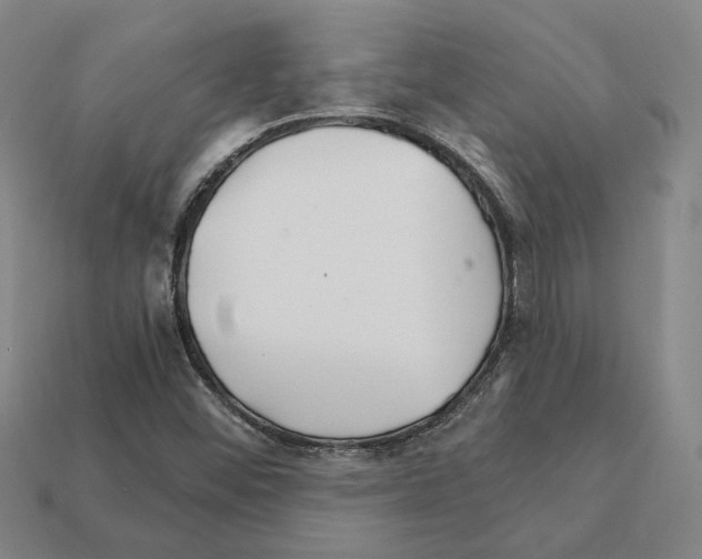 X0000111931452200909071228