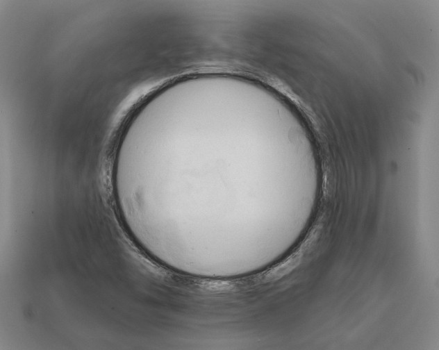 X0000111931454200909071228