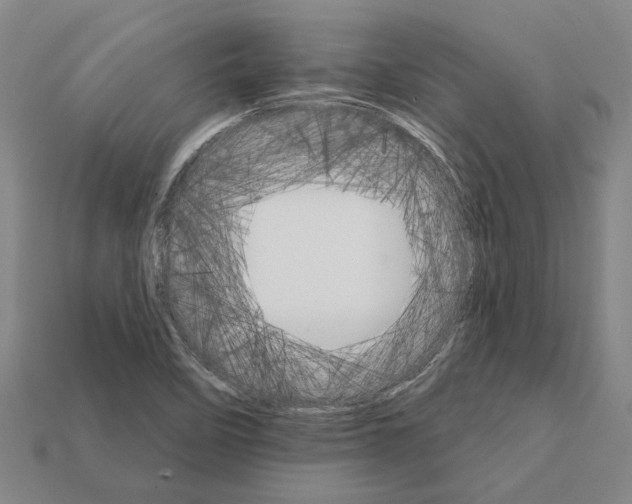 X0000111931458200909071228