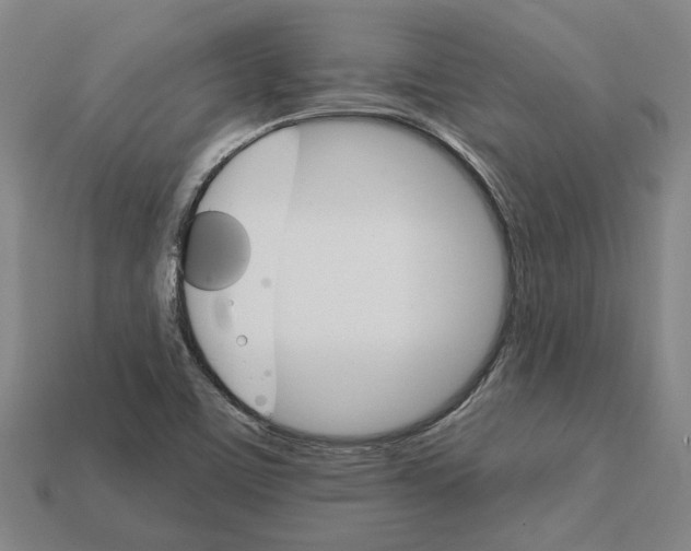 X0000111931459200909071228