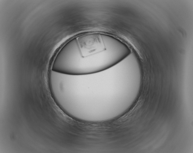 X0000111931460200909071228