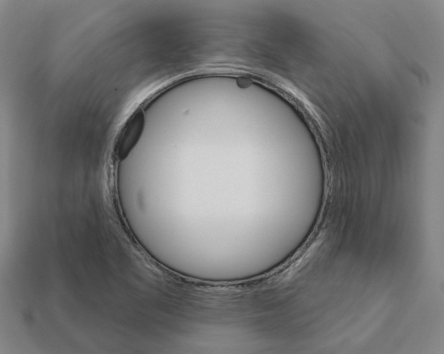 X0000111931461200909071228