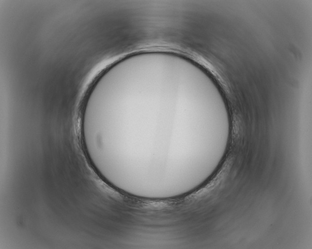 X0000111931462200909071228