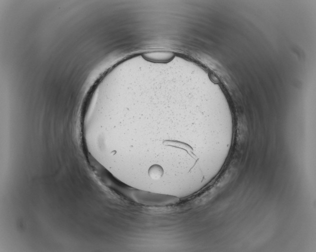 X0000111931469200909071228