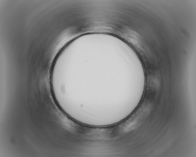 X0000111931470200909071228