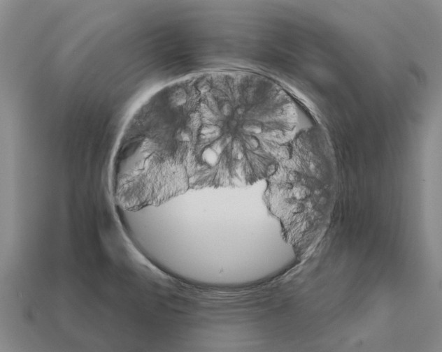 X0000111931471200909071228