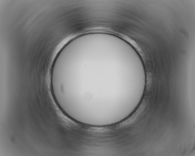 X0000111931474200909071228