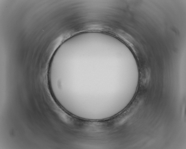 X0000111931475200909071228