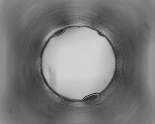 X0000111931476200909071228