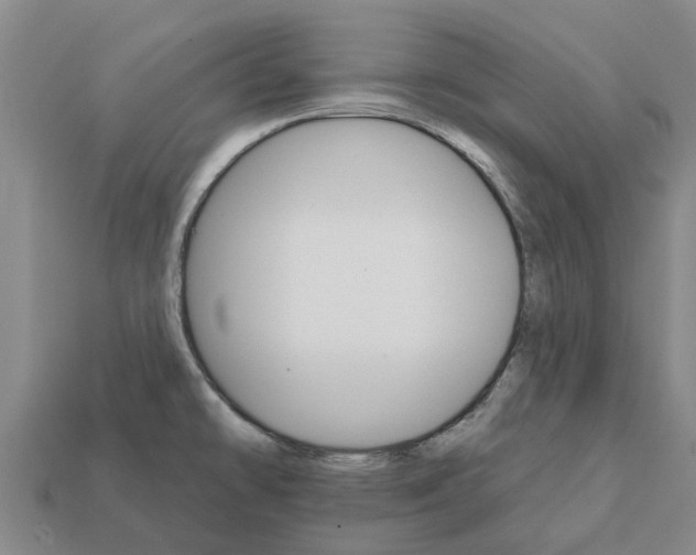 X0000111931478200909071228