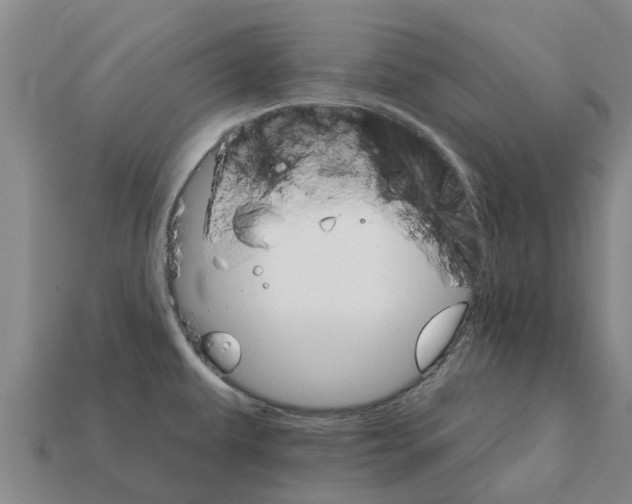 X0000111931479200909071228