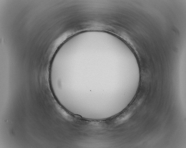 X0000111931480200909071228