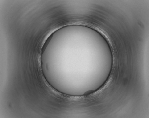 X0000111931481200909071228