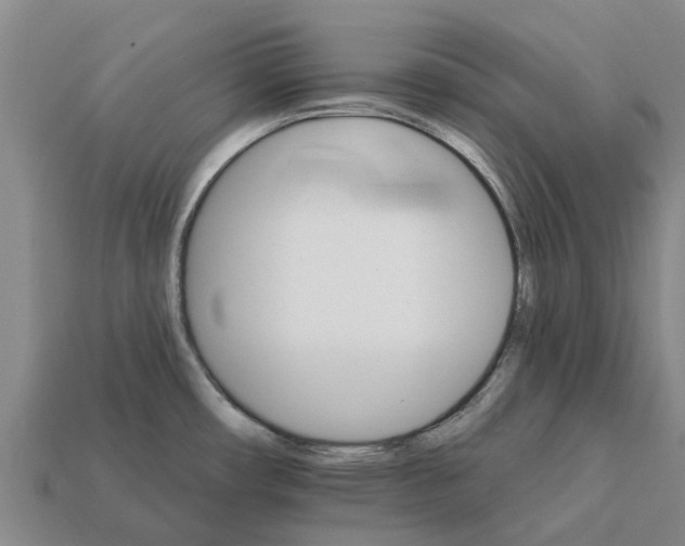 X0000111931482200909071228