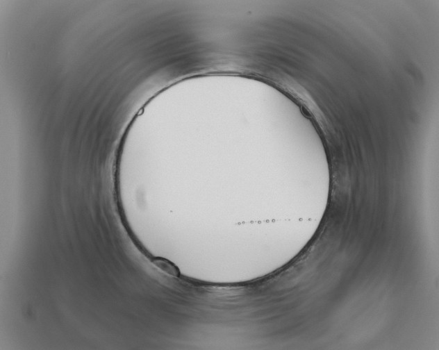 X0000111931483200909071228