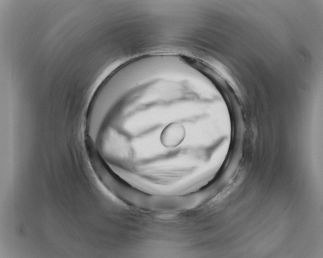 X0000111931484200909071228