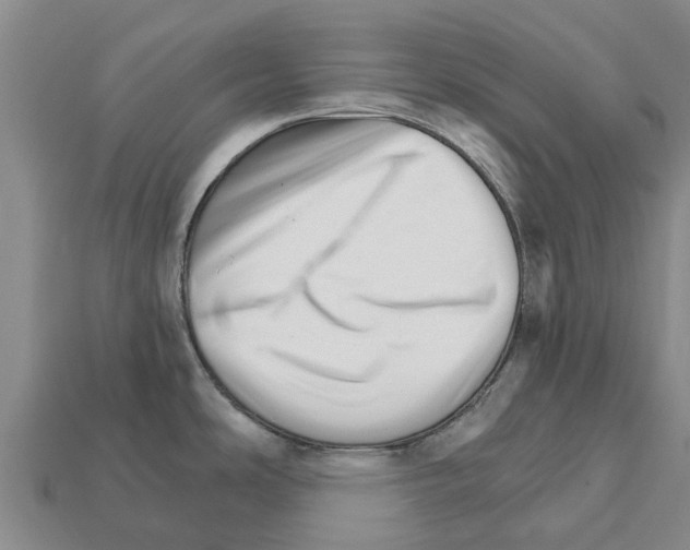 X0000111931486200909071228