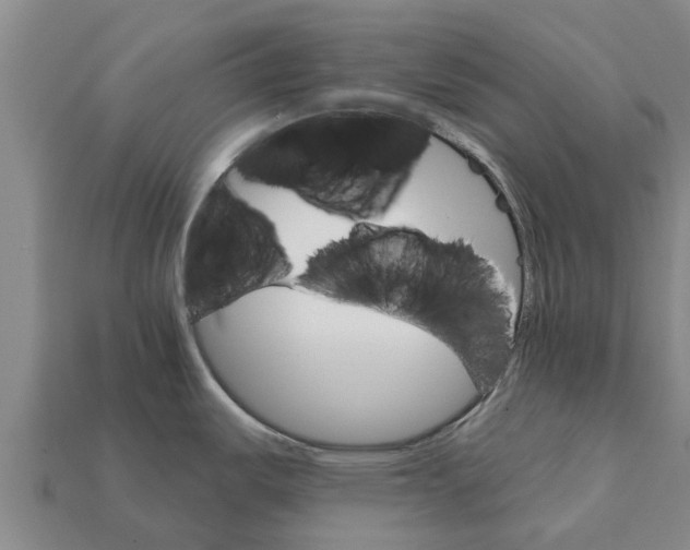 X0000111931487200909071228