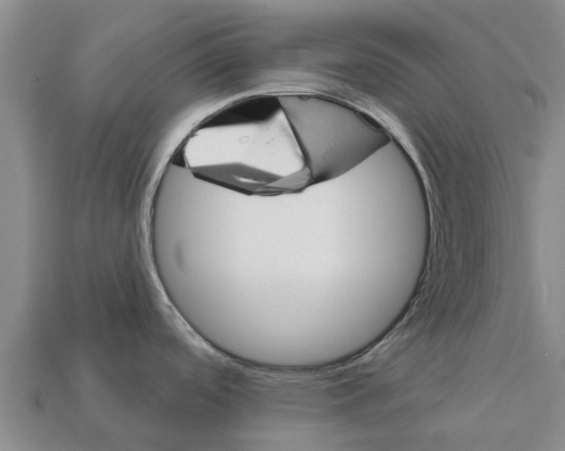 X0000111931488200909071228