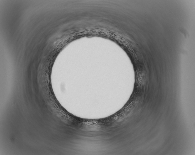 X0000111931489200909071227