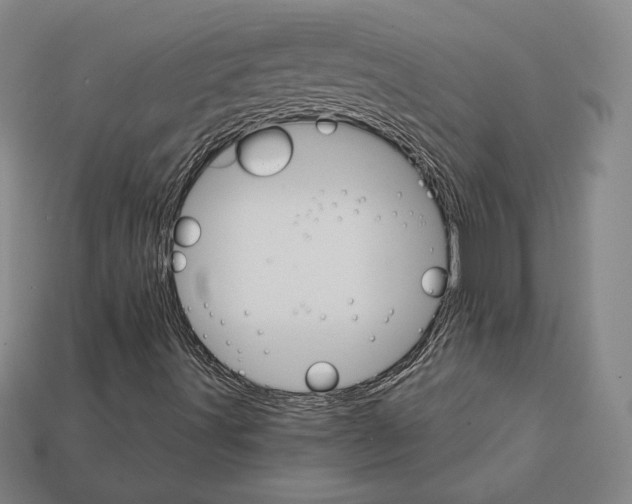 X0000111931491200909071227