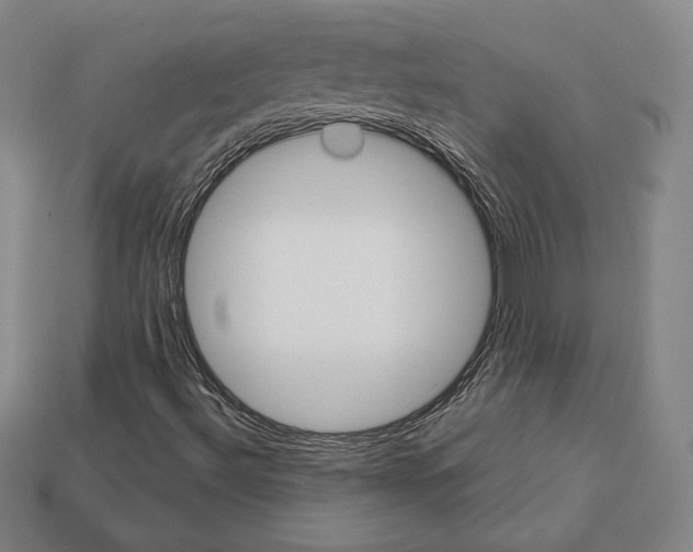 X0000111931492200909071227