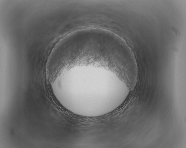 X0000111931493200909071227