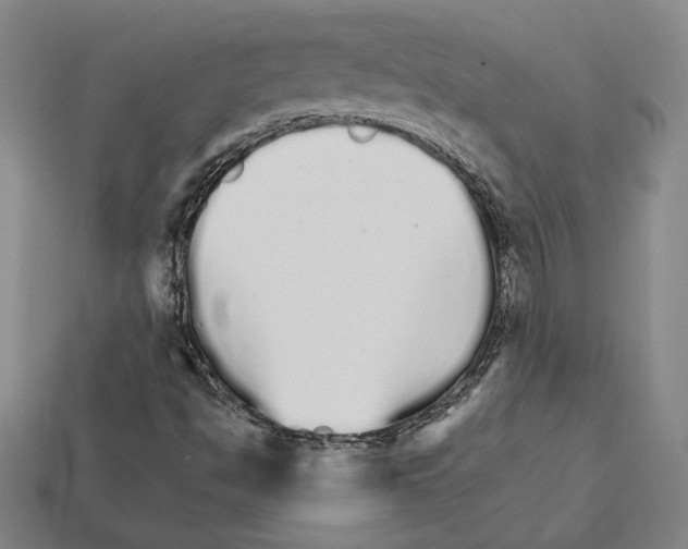 X0000111931494200909071227