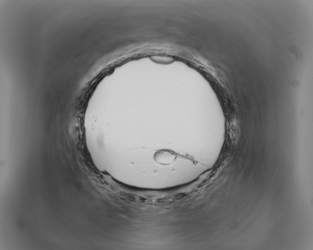 X0000111931496200909071227